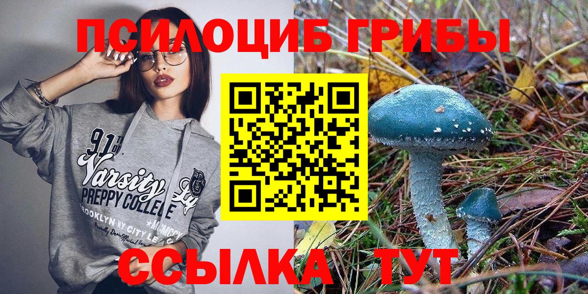 Луховицы  Галлюциногенные грибы GOLDEN TEACHER  цены наркотик  Вход с VPN 