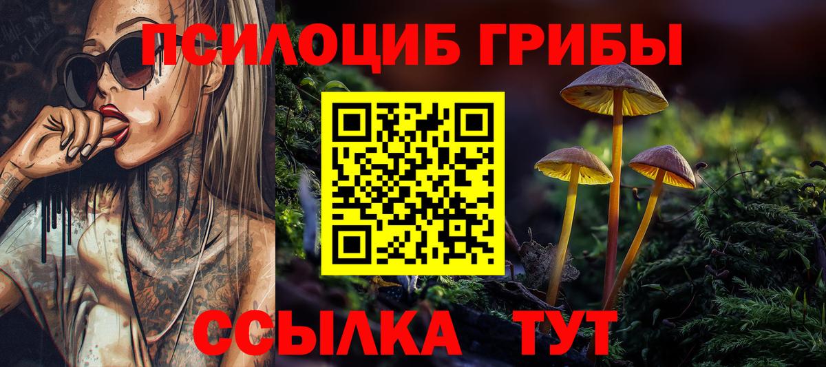 Псилоцибиновые грибы прущие грибы Луховицы